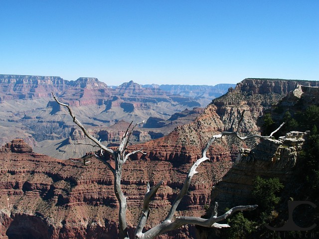 USA-049-Grand-Canyon-Arizona
