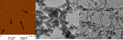 CVD grown SWCNT and TEM micrograph of AD and LA SWCNT